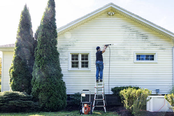 Best Gutter Cleaning  in Park Hills, MO